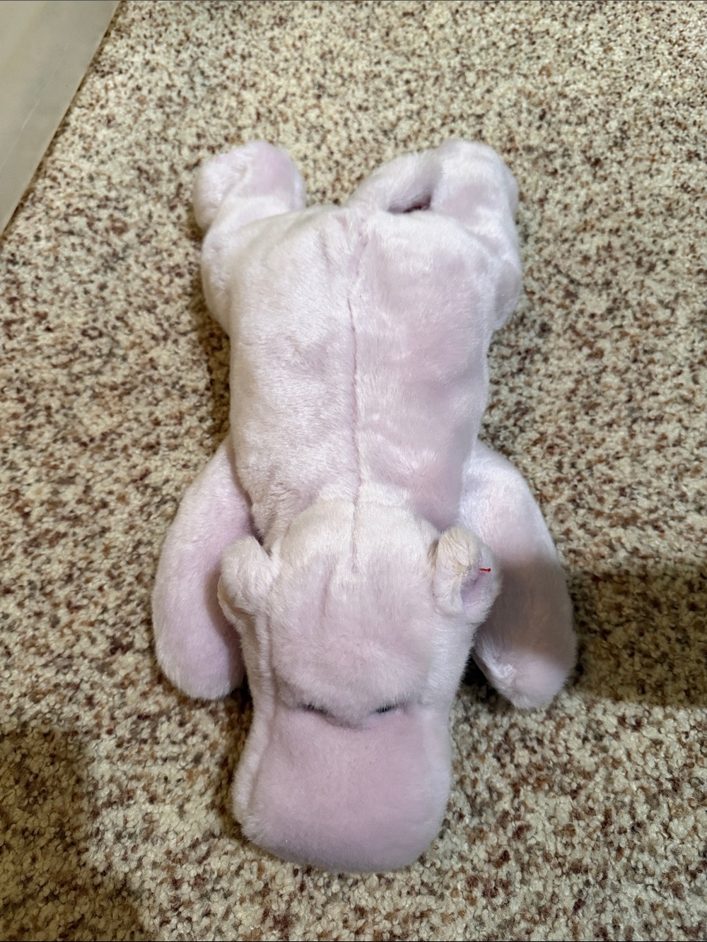 Plush Pink Platypus Stuffed Animal TY Beanie Baby